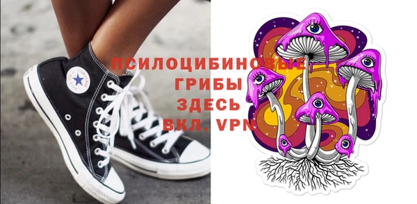 не бодяженный Новодвинск