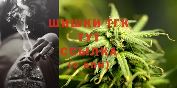 не бодяженный Новодвинск