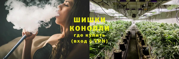 не бодяженный Новодвинск