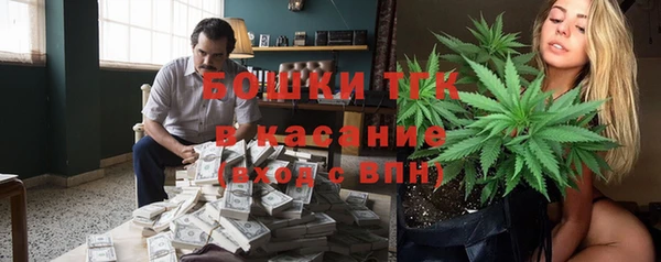 не бодяженный Новодвинск